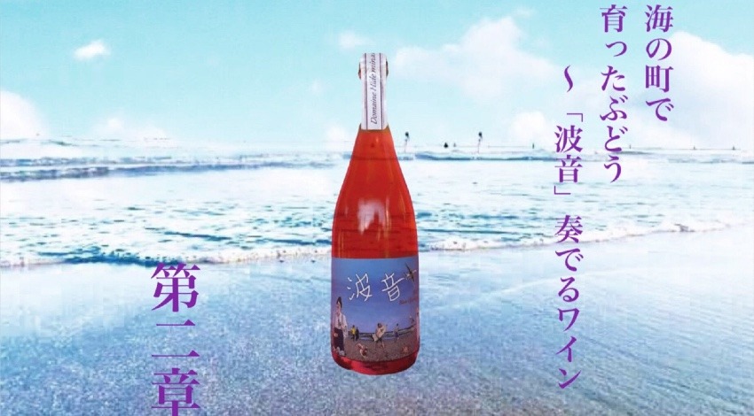 【波っ子ワイン makuakeチャレンジ！】