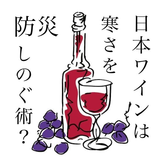 ⋆⸜ɴᴇᴡ⸝⋆日本ワインー寒さをしのぐ術？