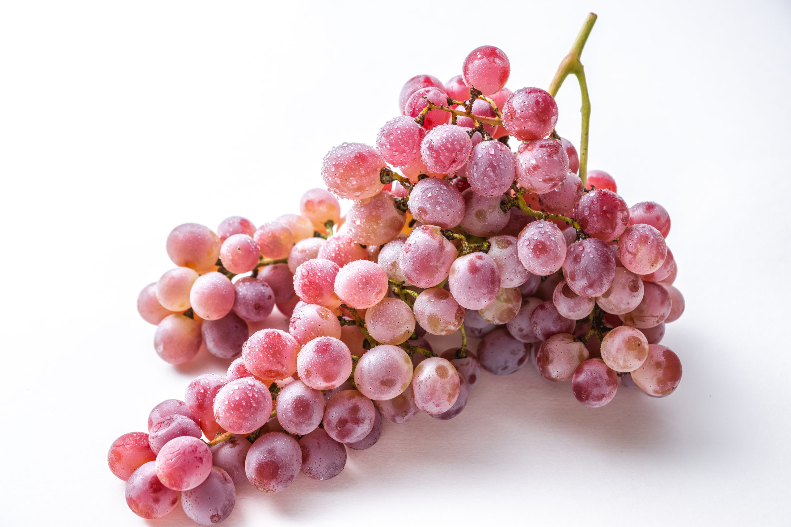ブドウ品種まるわかり 日本でワイン用に栽培されているブドウ品種まとめ 日本ワイン Jp